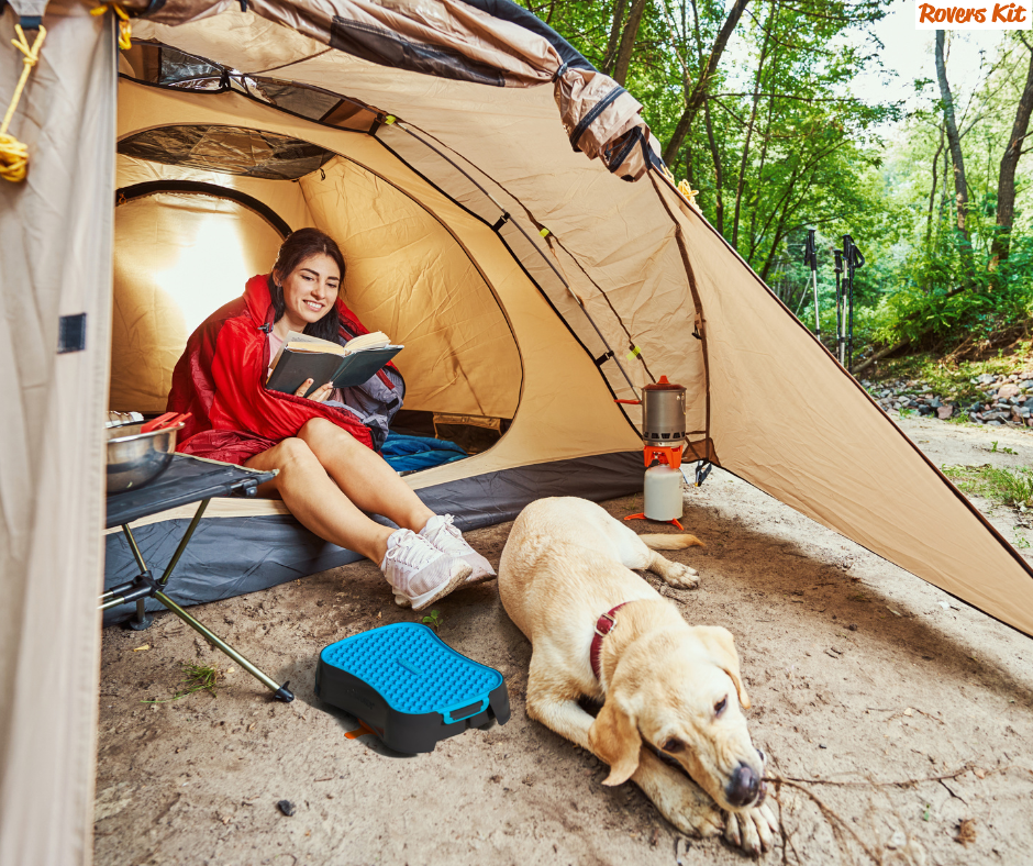 Travelling with your dog