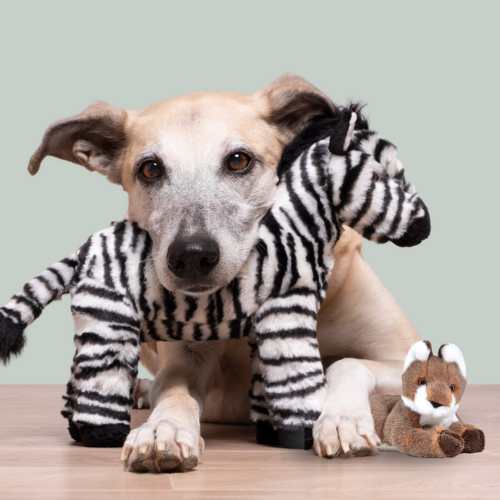 Toys offering endless chew & play