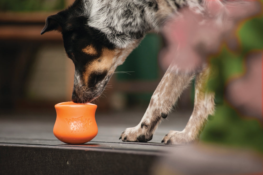 Toppl the Ultimate Slow Feeder and Mental Stimulation Toy for Dogs