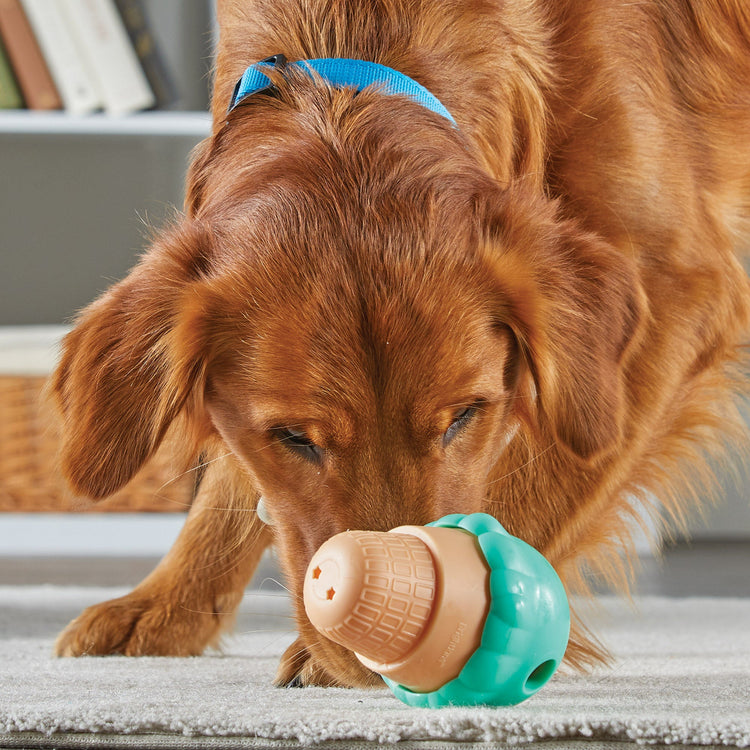 Treat Dispensers