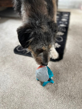Dog Toys