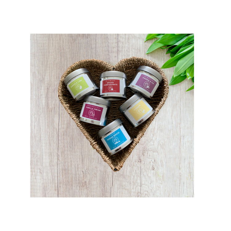 Pet Scents