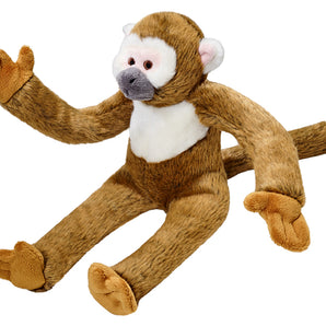 Albert Squirrel Monkey