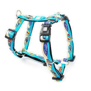 Max & Molly Harnesses CLEARANCE