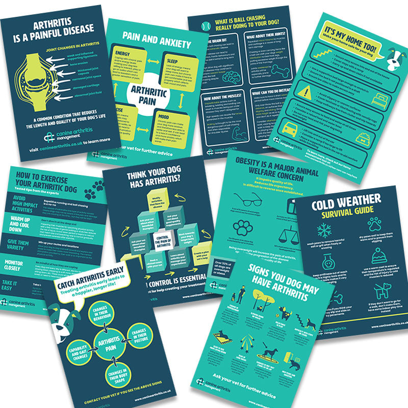 Practice Poster Pack