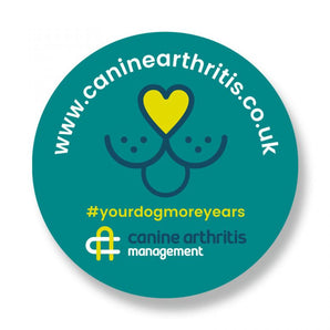 CAM Car Stickers