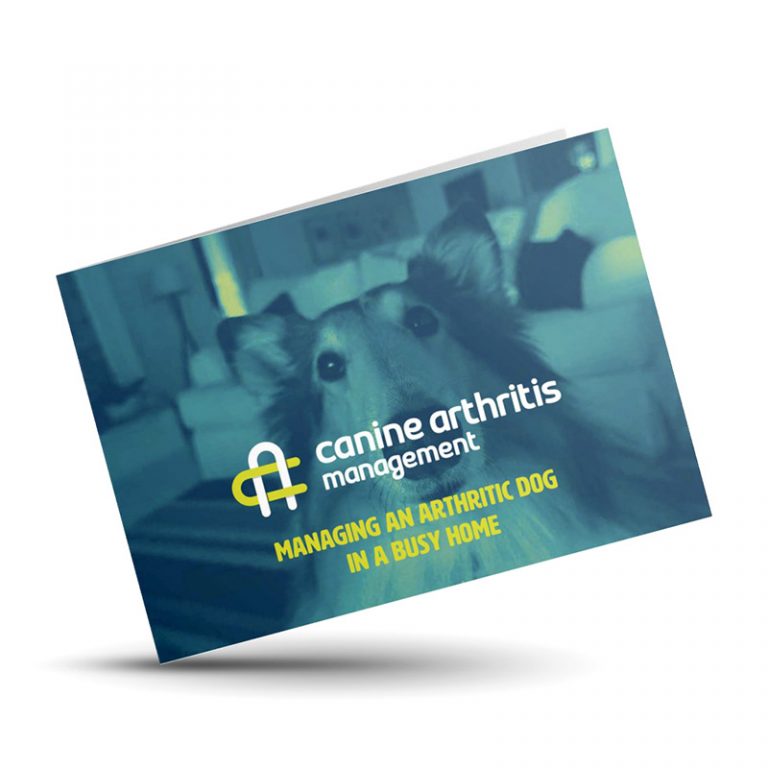 Managing an Arthritic Dog in a Busy Home Booklet – Printed