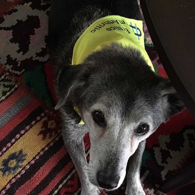 Be Nice I’m Arthritic Bandana