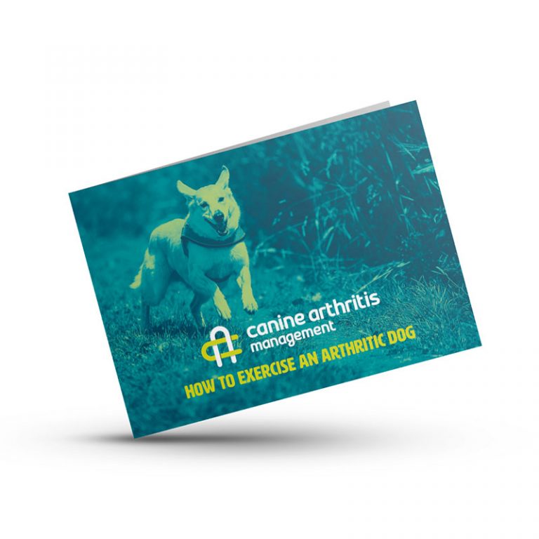 How to Exercise An Arthritic Dog Booklet – Printed
