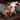 Dog lying on a couch with a plush toy next to it