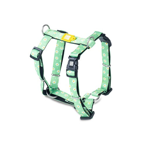 Max & Molly Harnesses