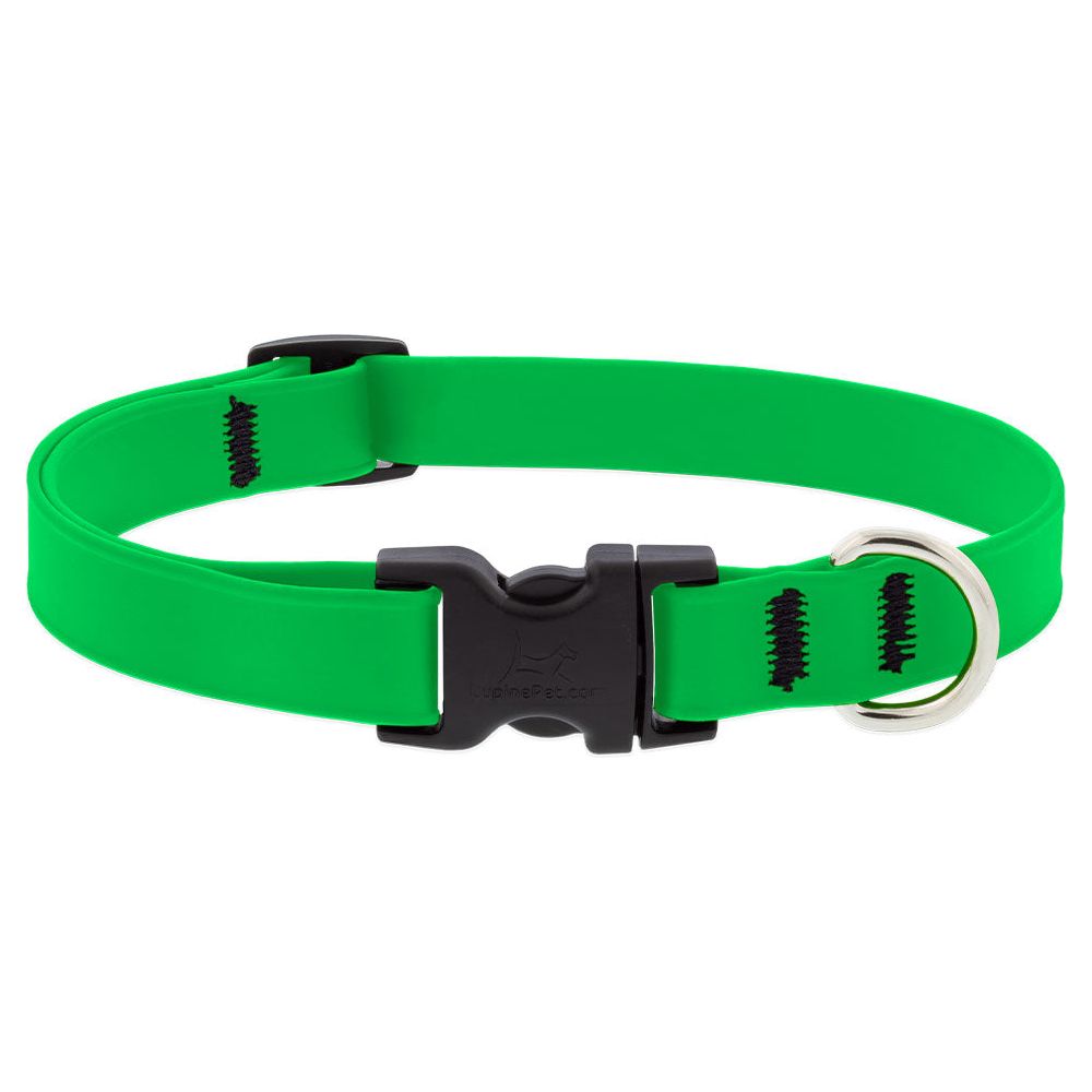 Lupine Splash Waterproof Dog Collars