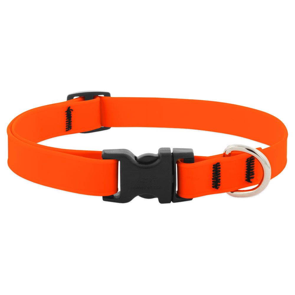 Lupine Splash Waterproof Dog Collars