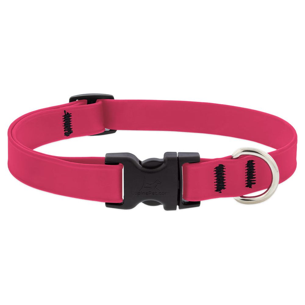 Lupine Splash Waterproof Dog Collars