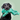 Black dog holding a green and blue toy against a light green background