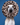 A white dog wearing a plush giraffe-print Elizabeth collar against a solid blue studio background.