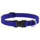 Lupine Splash Waterproof Dog Collars