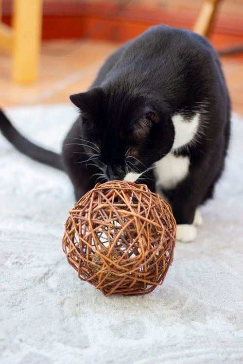 Naturals for Cat Willow & Catnip XL Ball