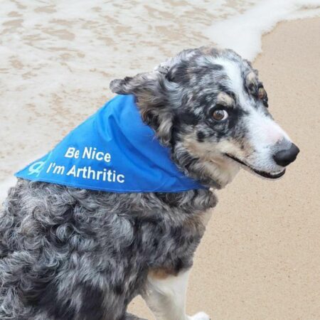 Be Nice I’m Arthritic Bandana