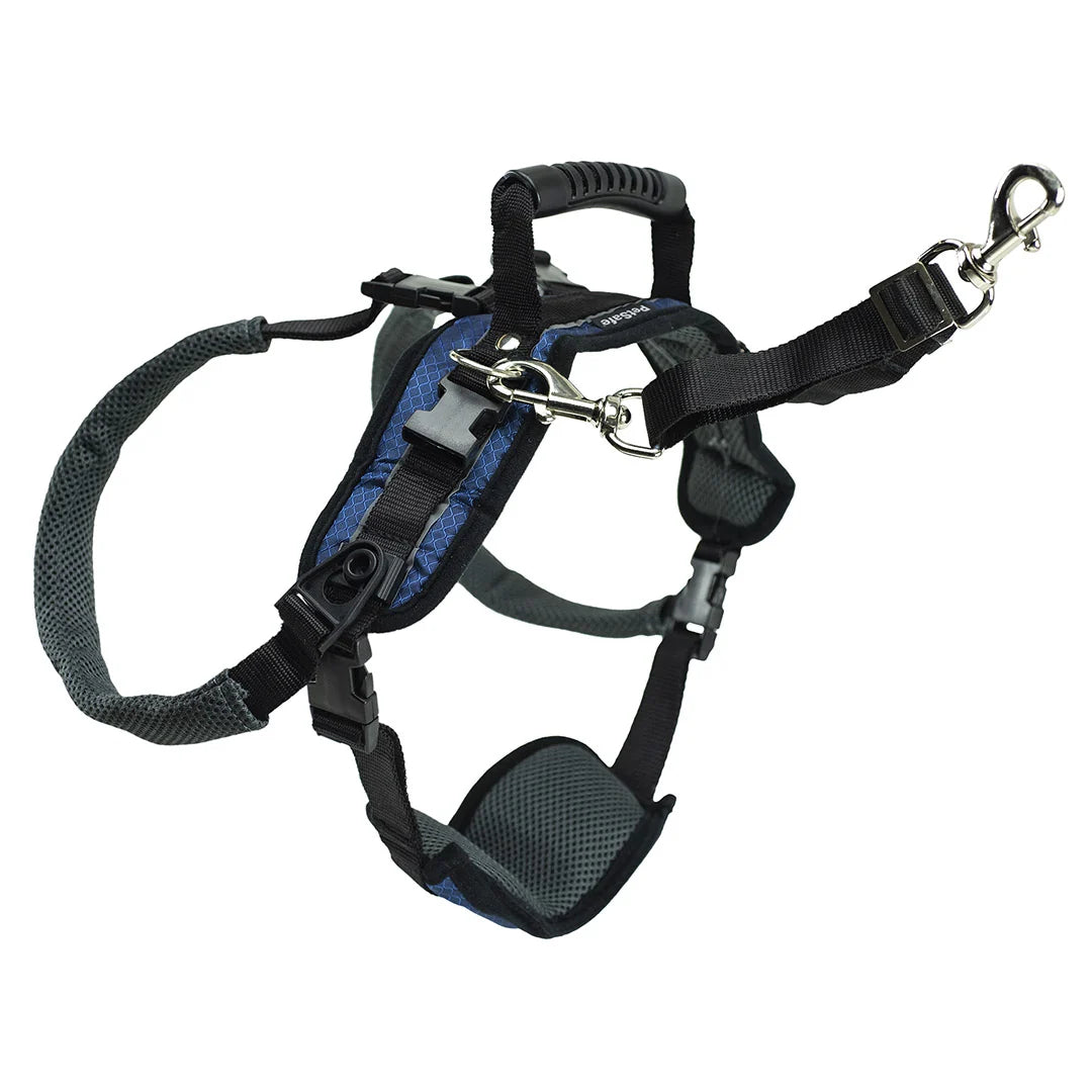 CareLift™ Rear Support Harness