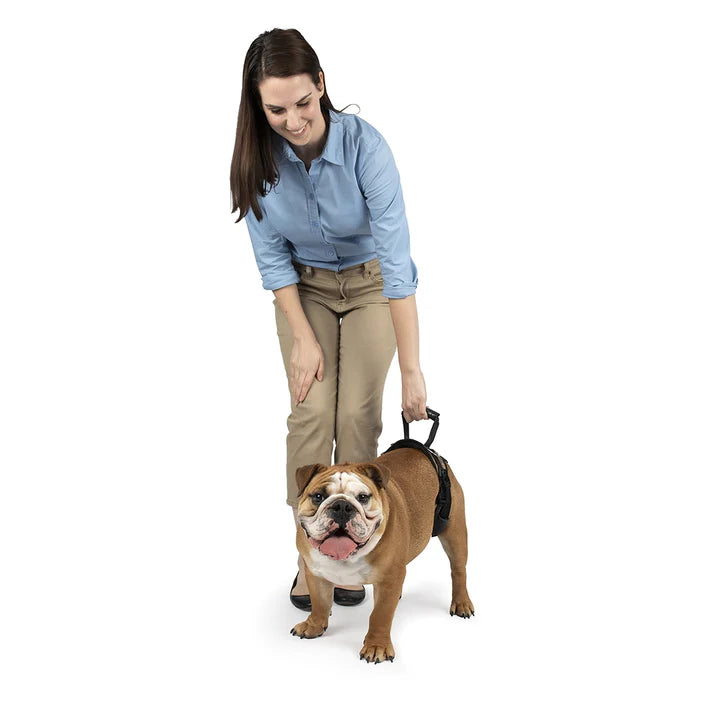 CareLift™ Rear Support Harness