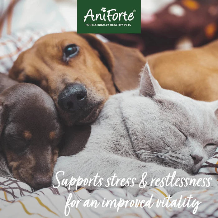 Wellbeing Globules for dogs, cats, rabbits and horses - 15g