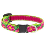 Lupine Cat Safety Collars