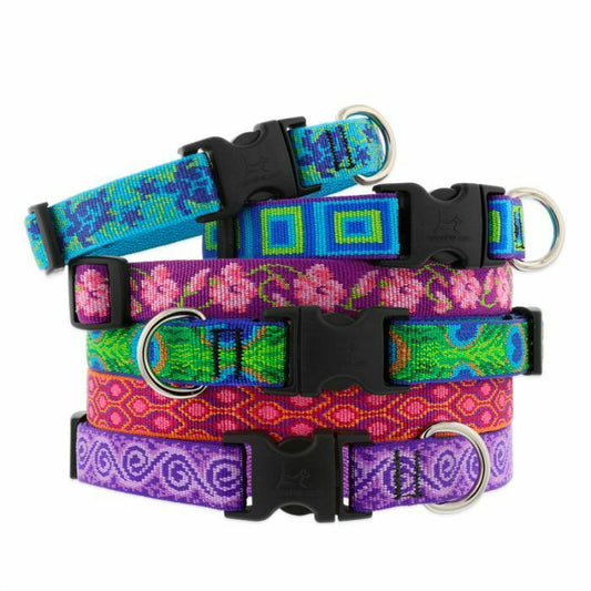 Lupine Originals Dog Collars for Small Dogs - rovers-kit