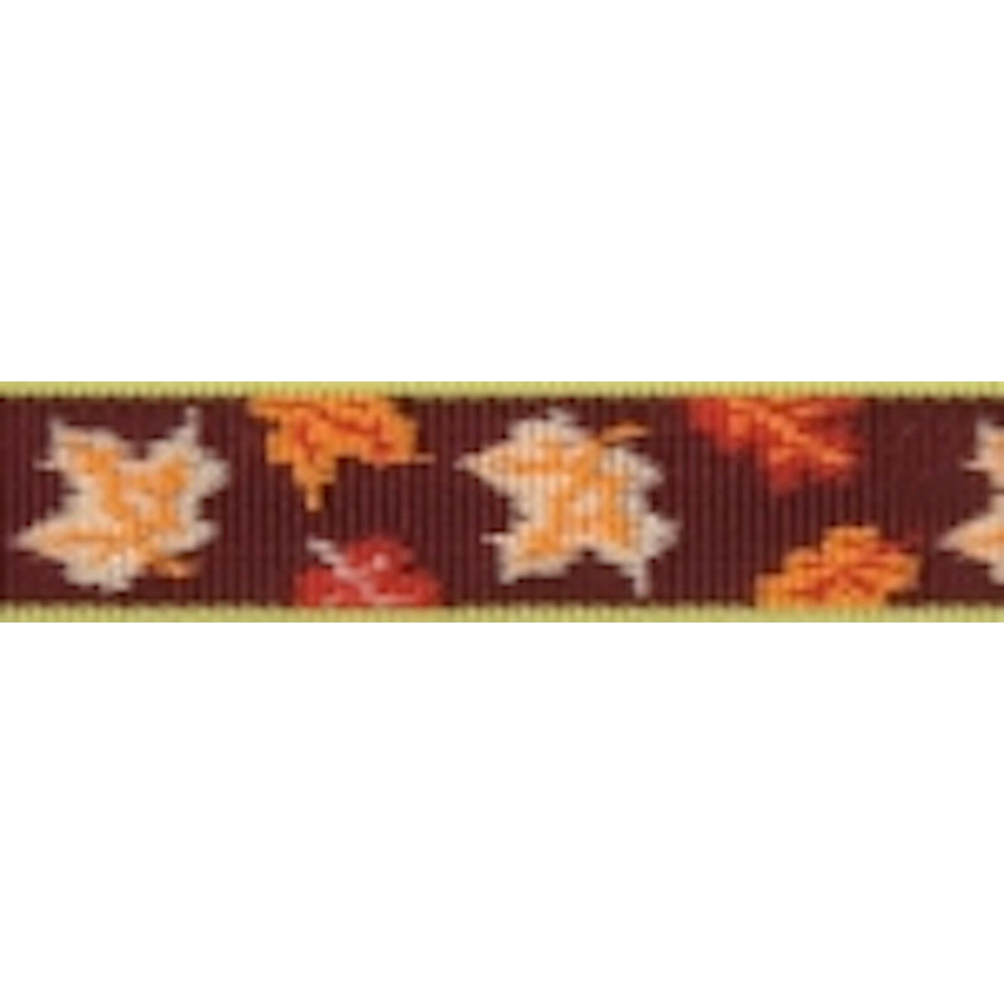 Lupine HALF PRICE 1" Roman Harnesses - GUARANTEED (even if chewed) - rovers-kit