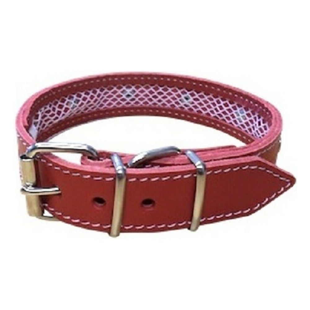 Leather Dog Collars with Inner Mesh to Protect Flea/Calming Collars - rovers-kit
