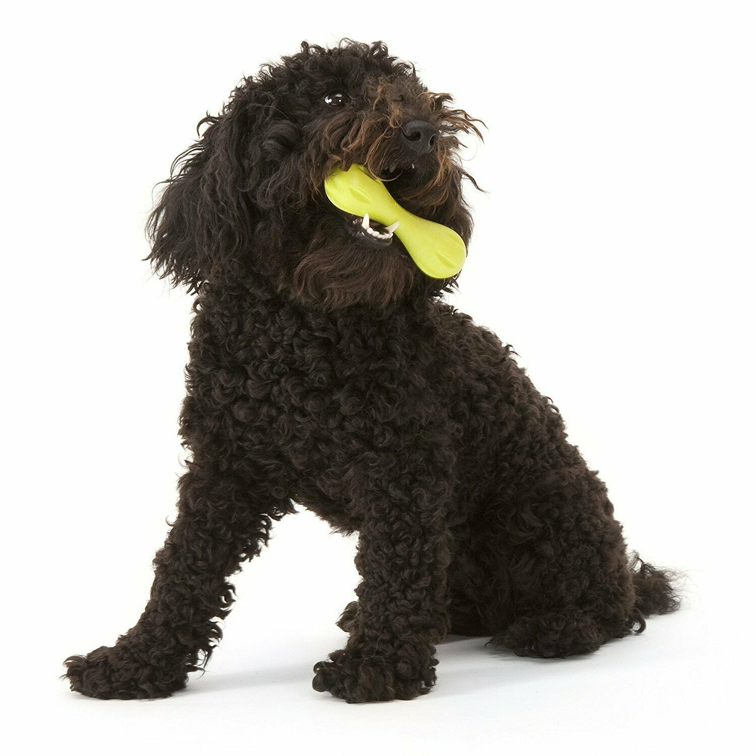 West Paw Zogoflex Hurley Dog Bone - rovers-kit