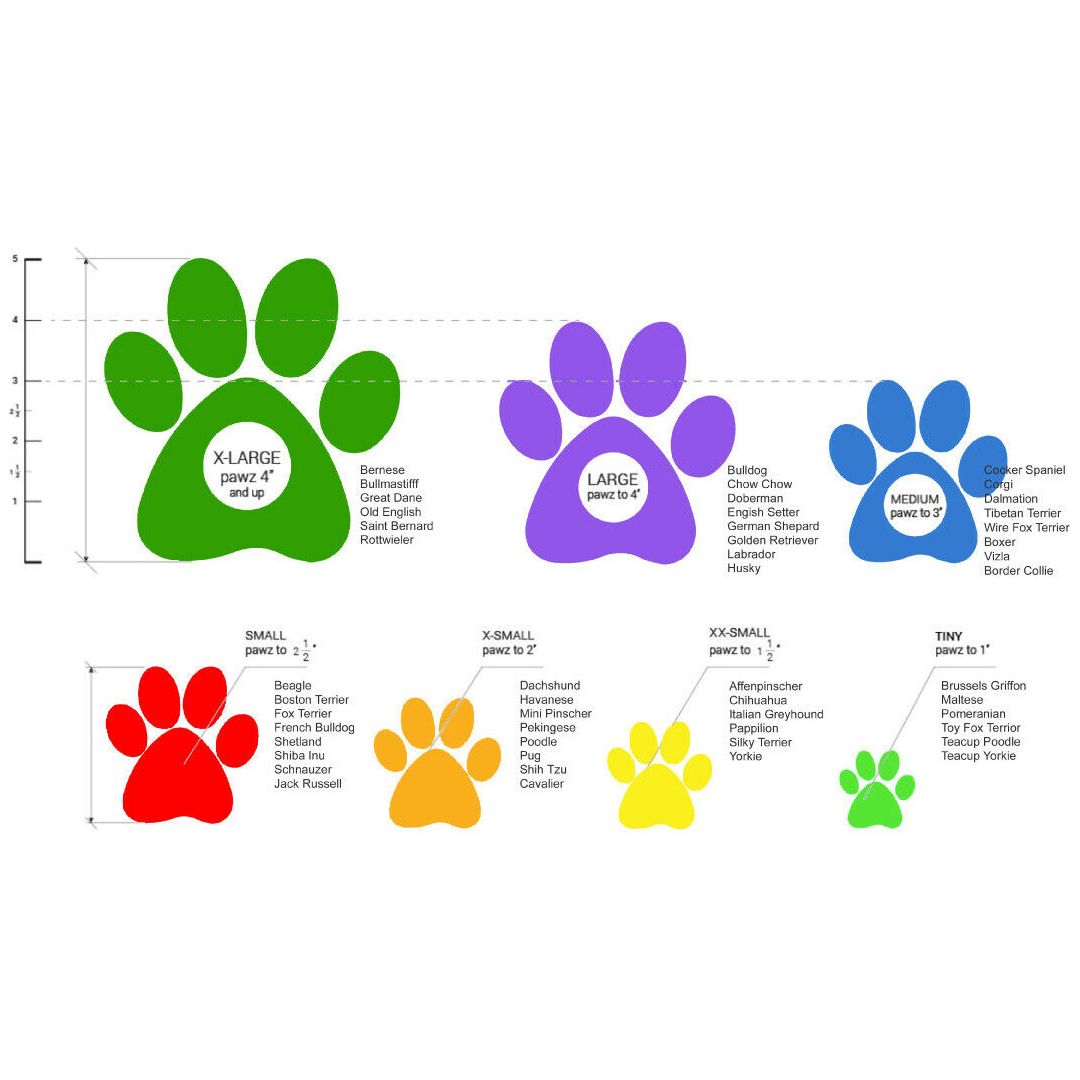 Pawz Disposable Dog Boots - For Tiny to Extra Large Dogs - rovers-kit