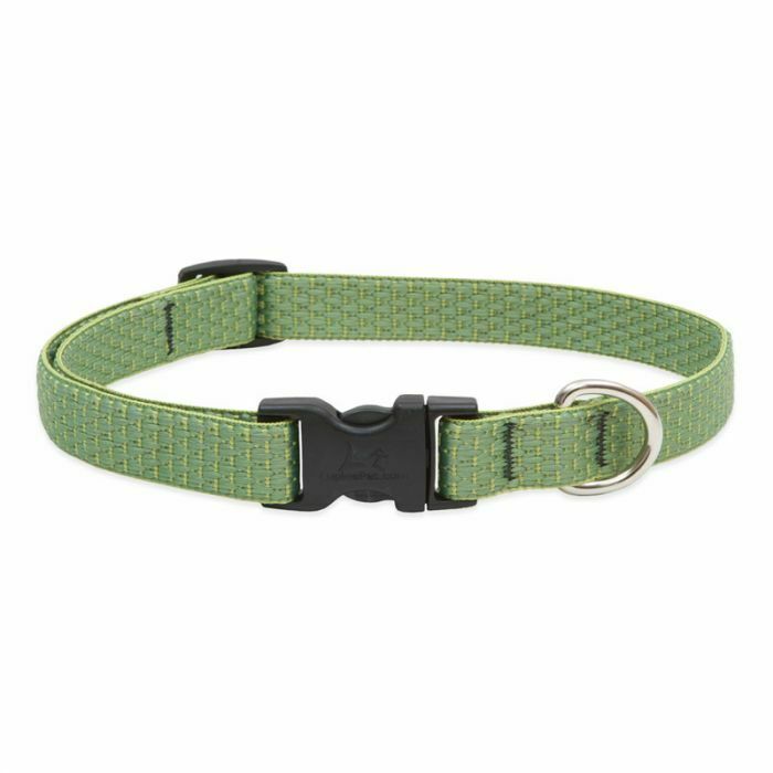 Lupine ECO Recycled Dog Collars for X-Small to X-Large Dogs - rovers-kit