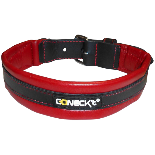 Two Tone Leather Dog Collars - rovers-kit