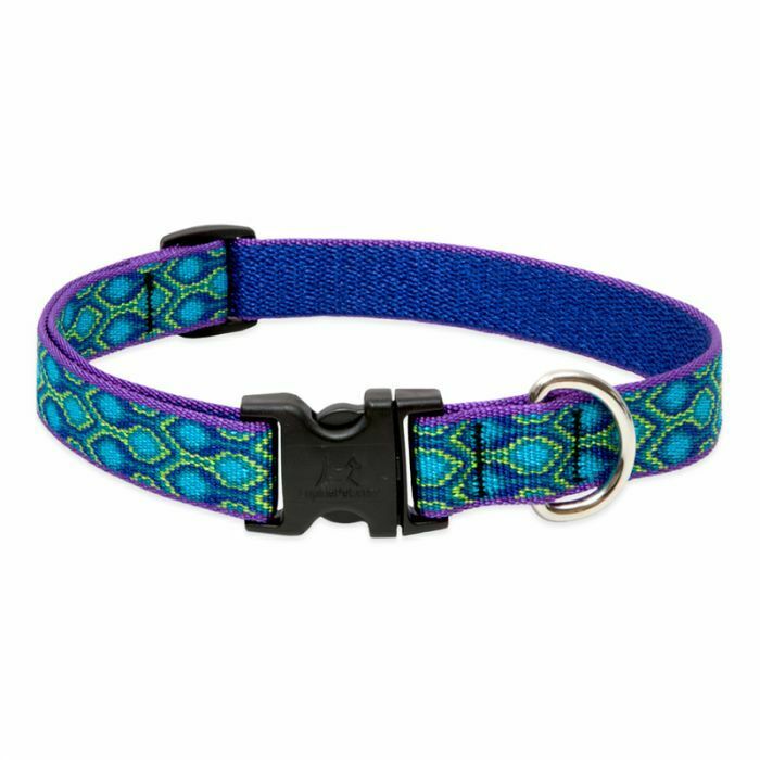 Lupine Originals Dog Collars for Small Dogs - rovers-kit