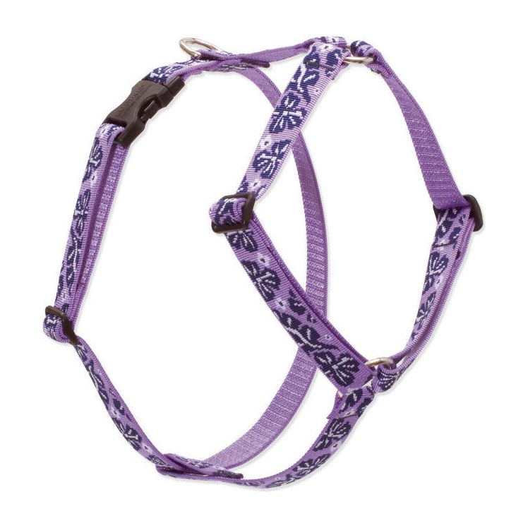 Lupine HALF PRICE 1" Roman Harnesses - GUARANTEED (even if chewed) - rovers-kit