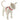H-Style Harnesses for Cats