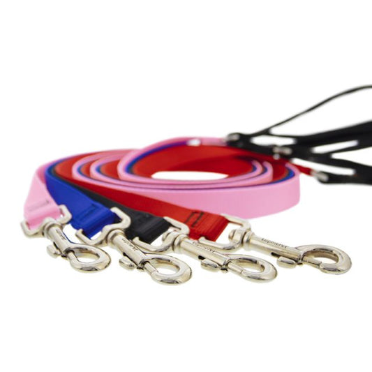 Lupine Basics Leads