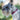 Lupine ECO Recycled Dog Collars for X-Small to X-Large Dogs - rovers-kit