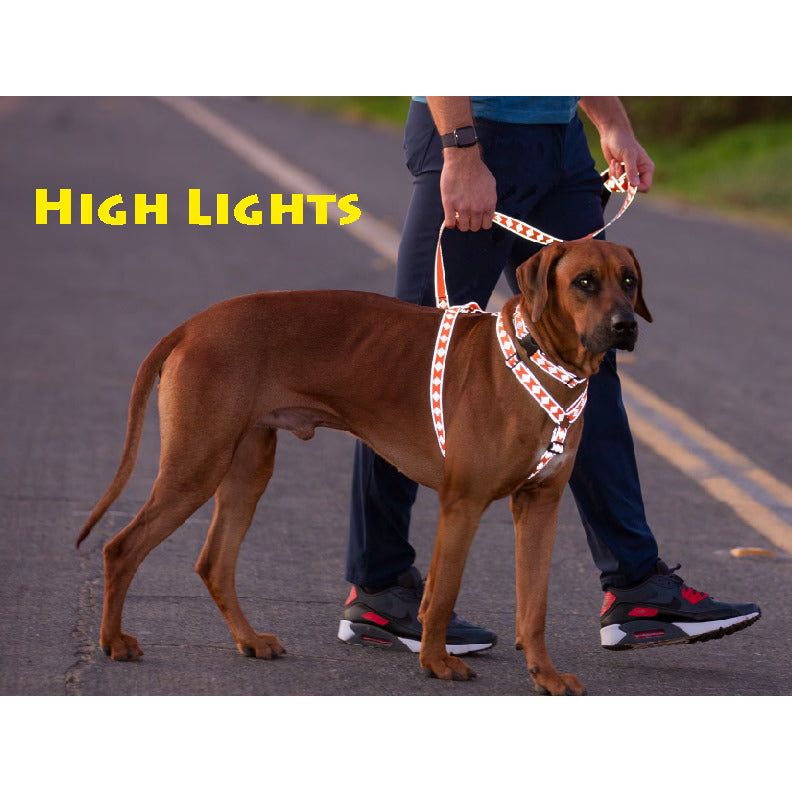 Lupine Reflective Dog Leads