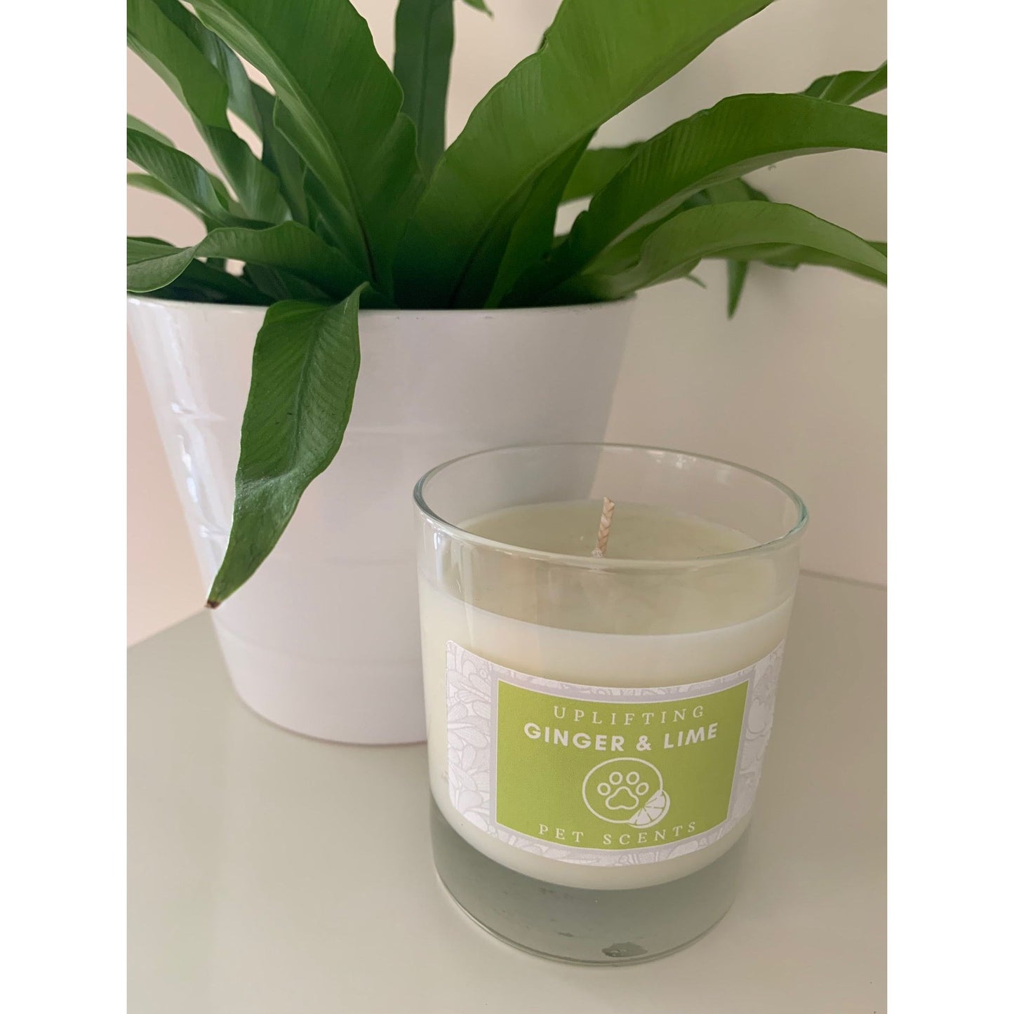 Pet Scents- 100% Natural Wax Glass Candles