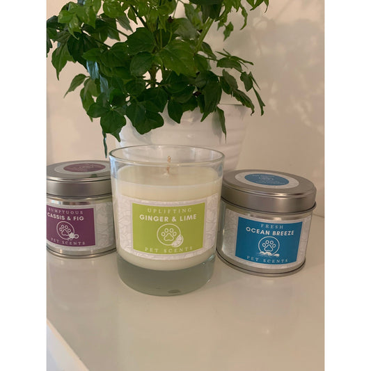 Pet Scents- 100% Natural Wax Glass Candles