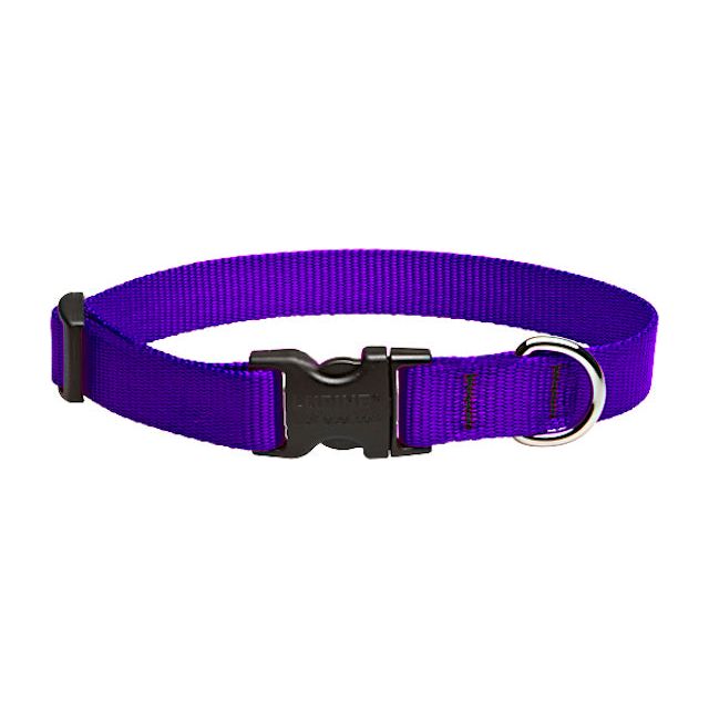 Lupine Basics Dog Collars