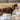 Lupine Originals Padded Handle Dog Leads - rovers-kit