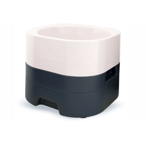 PetWeighter Elevated Dog Bowl
