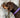 Sizing Lupine Dog Collars
