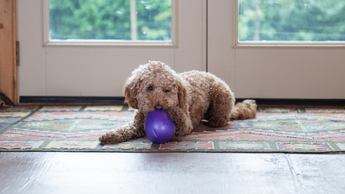 It's Playtime