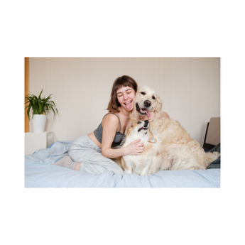Pet Friendly Home Fragrance
