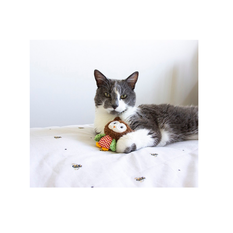 Cat Toys