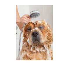 Washing Stuff